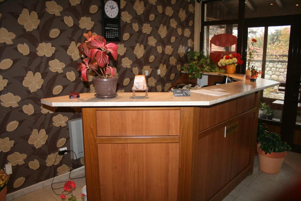 Korina Sky Hotel Bansko Buitenkant foto